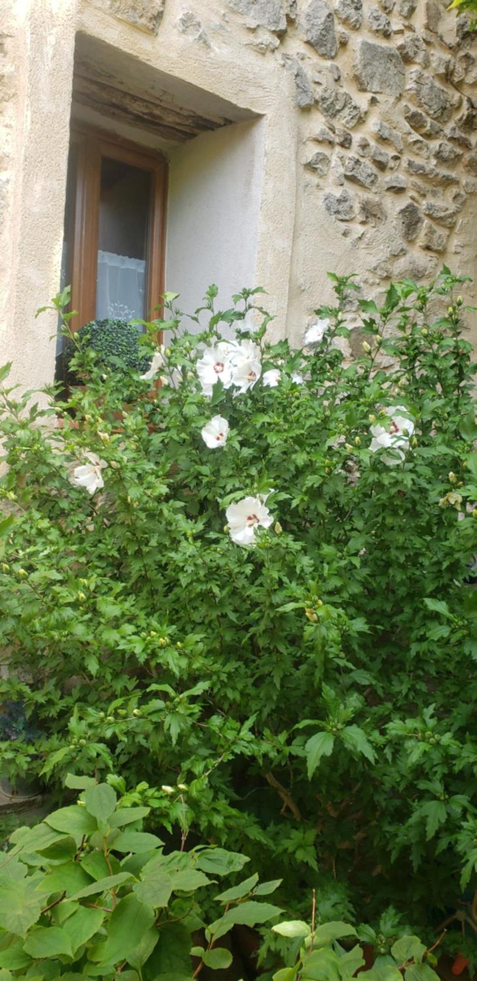 Ferienwohnung Le Balcon Camps-sur-l'Agly Exterior foto
